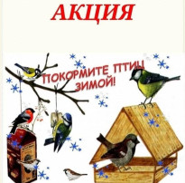 Акция "Покормите птиц зимой!" Акция "Покормите птиц зимой!".