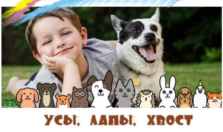 Акция "Усы, лапы, хвост!", в помощь бездомным животным приюта "Верный друг!" Акция "Усы, лапы, хвост!", в помощь бездомным животным приюта "Верный друг!".